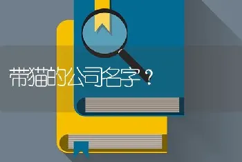 带猫的公司名字？