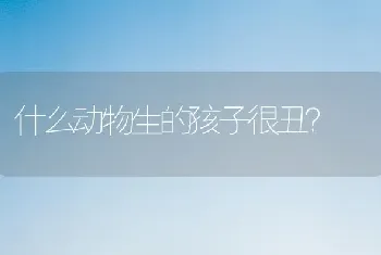 什么动物生的孩子很丑？