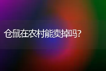 仓鼠在农村能卖掉吗？