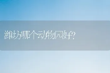 潍坊哪个动物园好？