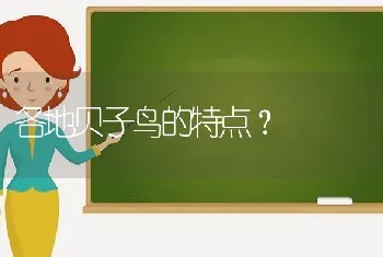 各地贝子鸟的特点？