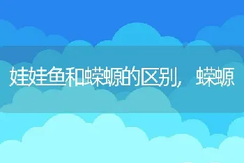 娃娃鱼和蝾螈的区别，蝾螈