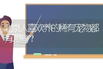 黄桃脸牡丹鹦鹉几个月头顶变红？