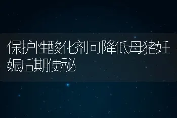 保护性酸化剂可降低母猪妊娠后期便秘