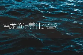 雷龙鱼混养什么鱼？