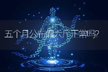 五个月公布偶六斤正常吗？