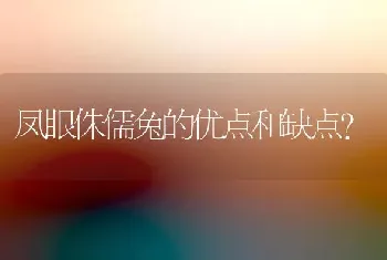 人狗情未了是什么电影？