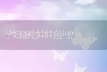 孕妇能吃娃娃鱼吗？