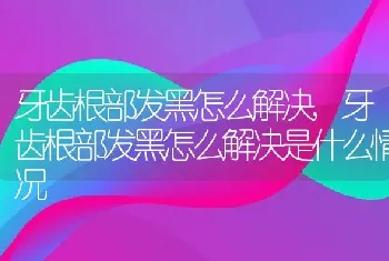 牙齿根部发黑怎么解决，牙齿根部发黑怎么解决是什么情况