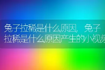 兔子拉稀是什么原因，兔子拉稀是什么原因产生的小视频