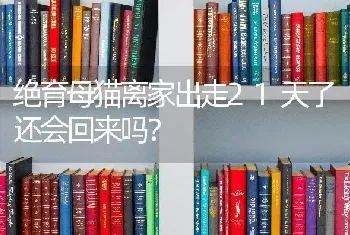 绝育母猫离家出走21天了还会回来吗？