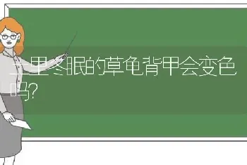 土里冬眠的草龟背甲会变色吗？