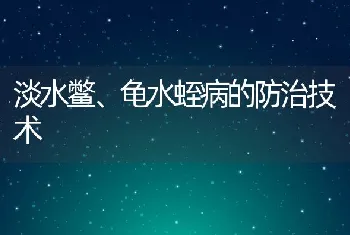 淡水鳖、龟水蛭病的防治技术