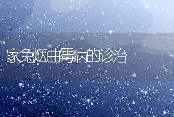 家兔烟曲霉病的诊治