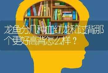 龙鱼分几种血红龙和过背那个更好高背怎么样？