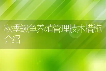 秋季鳜鱼养殖管理技术措施介绍