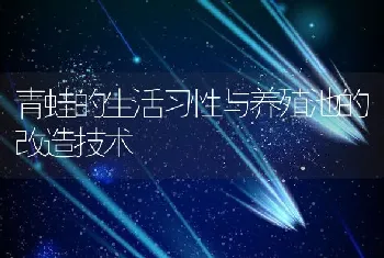 青蛙的生活习性与养殖池的改造技术