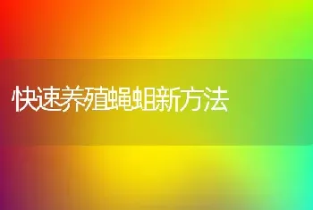 快速养殖蝇蛆新方法