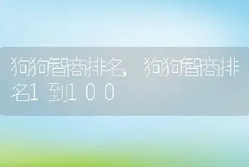 狗狗智商排名，狗狗智商排名1到100