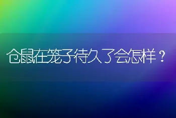 仓鼠在笼子待久了会怎样？