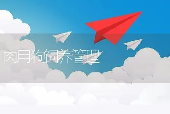 金鱼养殖技术讲座(二)