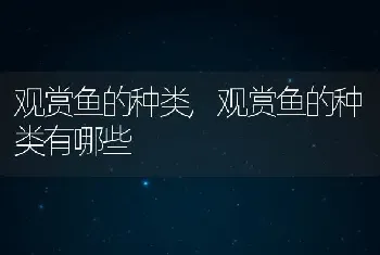 观赏鱼的种类，观赏鱼的种类有哪些