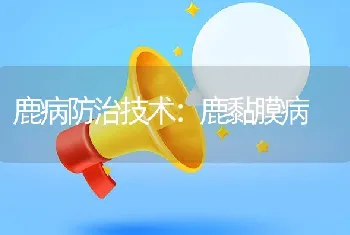 鹿病防治技术：鹿黏膜病