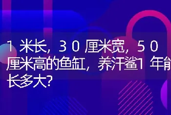 1米长，30厘米宽