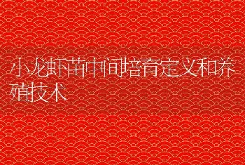 小龙虾苗中间培育定义和养殖技术