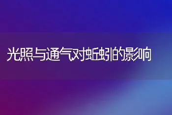 光照与通气对蚯蚓的影响