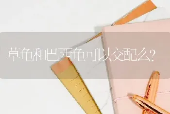 草龟和巴西龟可以交配么？