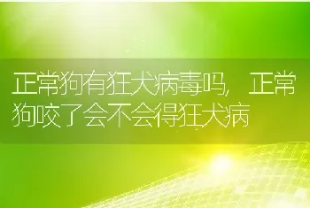 正常狗有狂犬病毒吗，正常狗咬了会不会得狂犬病