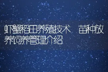 虾蟹稻田养殖技术 苗种放养饲养管理介绍