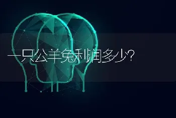 一只公羊兔利润多少？