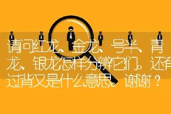 请问红龙、金龙、号半、青龙、银龙怎样分辨它们。还有过背又是什么意思。谢谢？