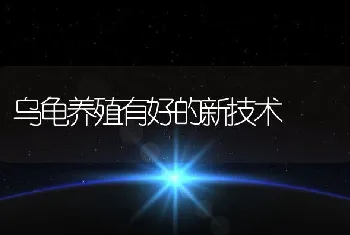 乌龟养殖有好的新技术