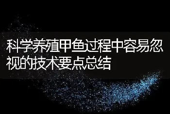 科学养殖甲鱼过程中容易忽视的技术要点总结