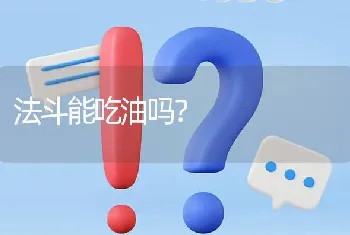 法斗能吃油吗？