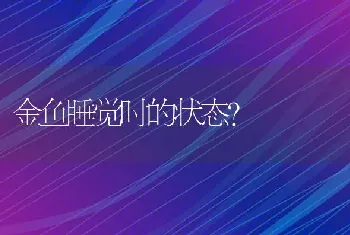 金鱼睡觉时的状态？