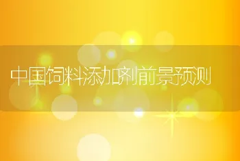 中国饲料添加剂前景预测