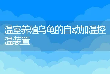 温室养殖乌龟的自动加温控温装置