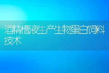 酒精槽液生产生物蛋白饲料技术