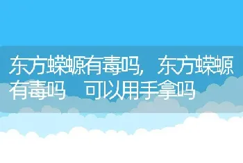 东方蝾螈有毒吗，东方蝾螈有毒吗 可以用手拿吗