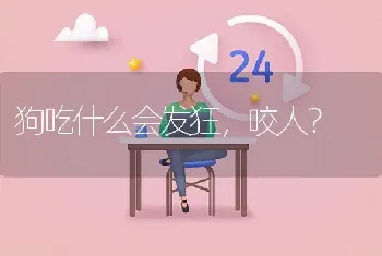 狗吃什么会发狂，咬人？