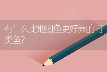 有什么比地图鱼更好养的同类鱼？