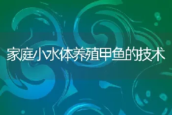 家庭小水体养殖甲鱼的技术