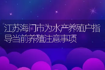 江苏海门市为水产养殖户指导当前养殖注意事项