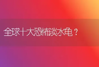 全球十大恐怖淡水龟？