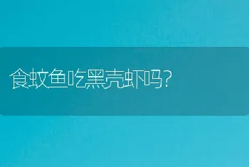 食蚊鱼吃黑壳虾吗？