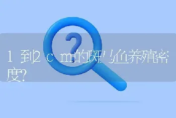 1到2cm的斑马鱼养殖密度？